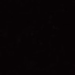 Meet your Posher, Antonio